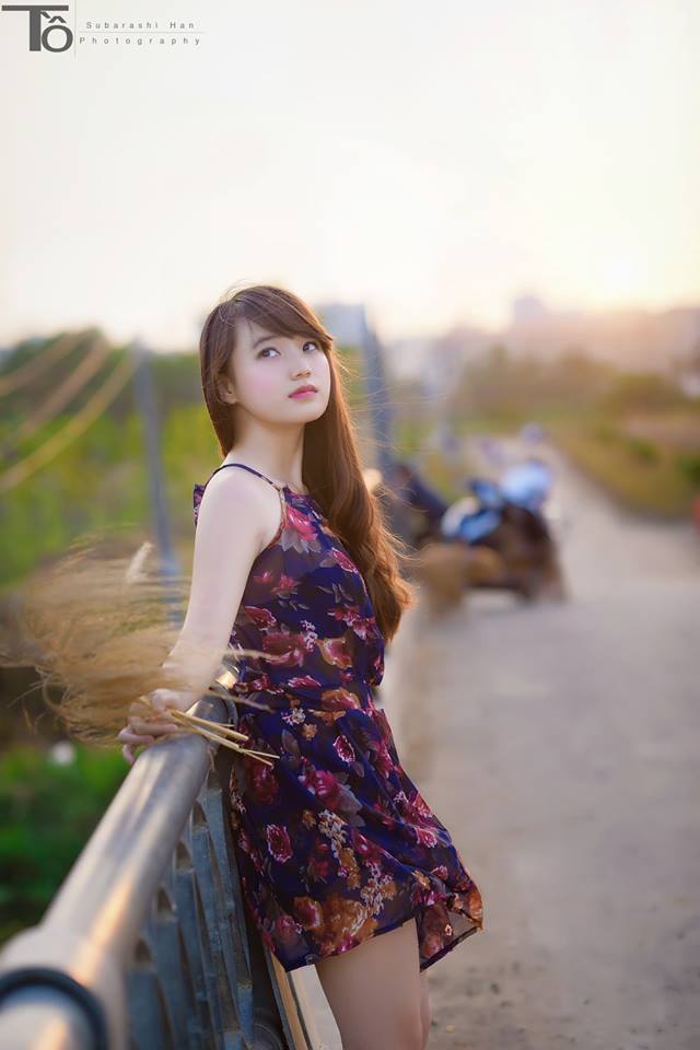 王國第三季全集完整免費觀看