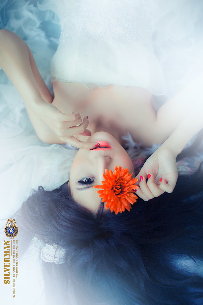 王子的本命是惡役千金動漫